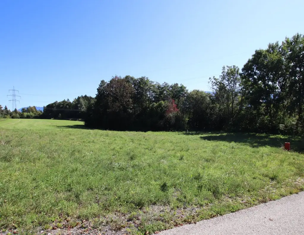 Schöner, großer und flacher 1.850m² Baugrund in Ludmannsdorf - Lukowitz