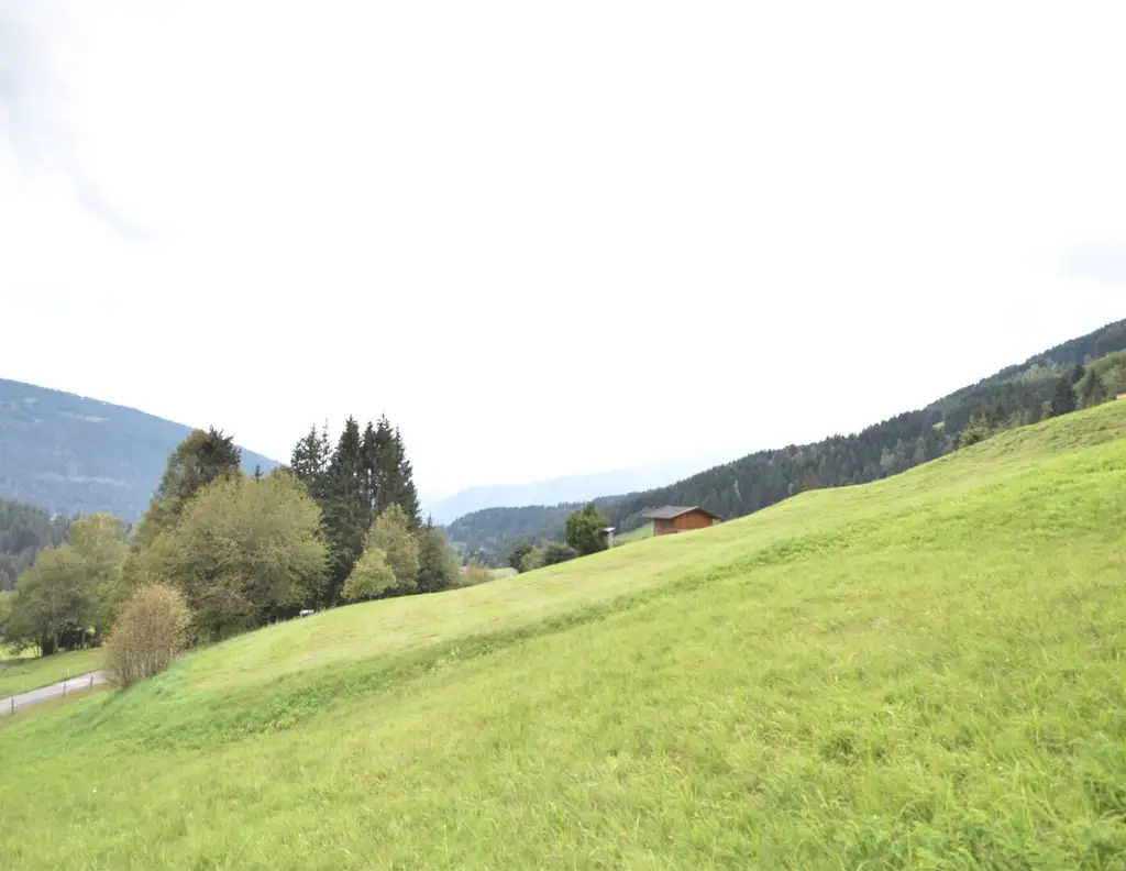 "Traumhaftes landwirtschaftlich genutztes Grünland nahe der Gerlitzenalpe"