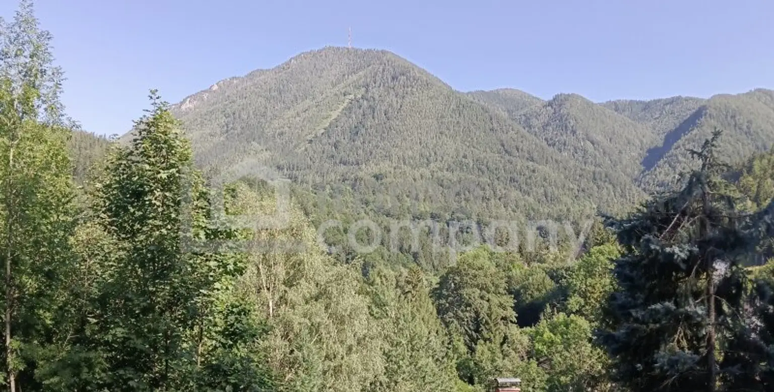 Ihr Grundstück in Hanglage mit absolutem Grünblick