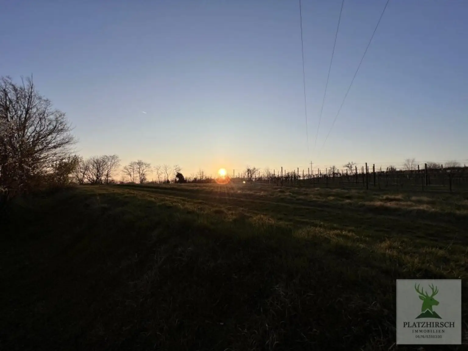 Einzigartiges Liebhaberobjekt mit toskanischem Flair, riesigem Garten, herrlichem Wintergarten, in Prottes - 35 Min von Wien - 8 Minuten von Gänserndorf