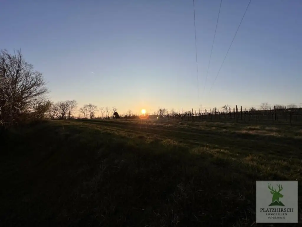 Einzigartiges Liebhaberobjekt mit toskanischem Flair, riesigem Garten, herrlichem Wintergarten, in Prottes - 35 Min von Wien - 8 Minuten von Gänserndorf