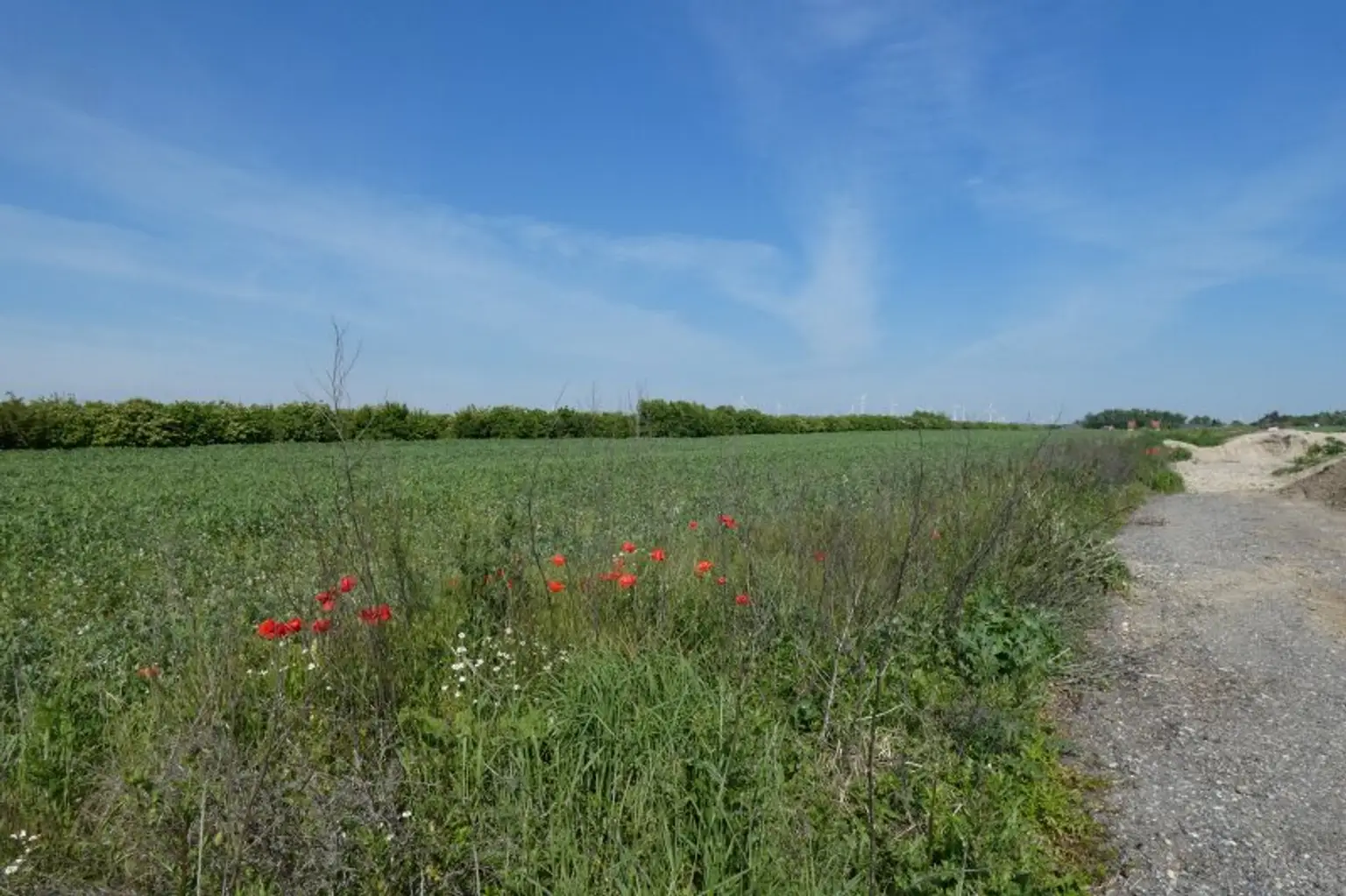 ECKGRUNDSTÜCK INMITTEN SCHÖNER NATUR NÄHE WIEN BRATISLAVA
