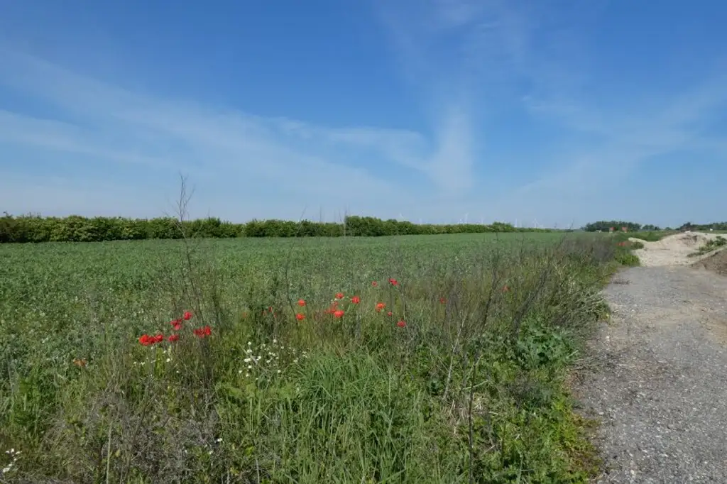 ECKGRUNDSTÜCK INMITTEN SCHÖNER NATUR NÄHE WIEN BRATISLAVA