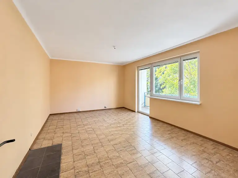 Zimmer V