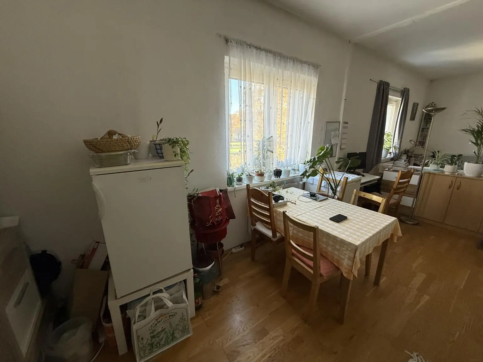 Prov-Frei - Dreihackengasse, nette Großgarconniere inkl. Küche zu vermieten nach Absprache