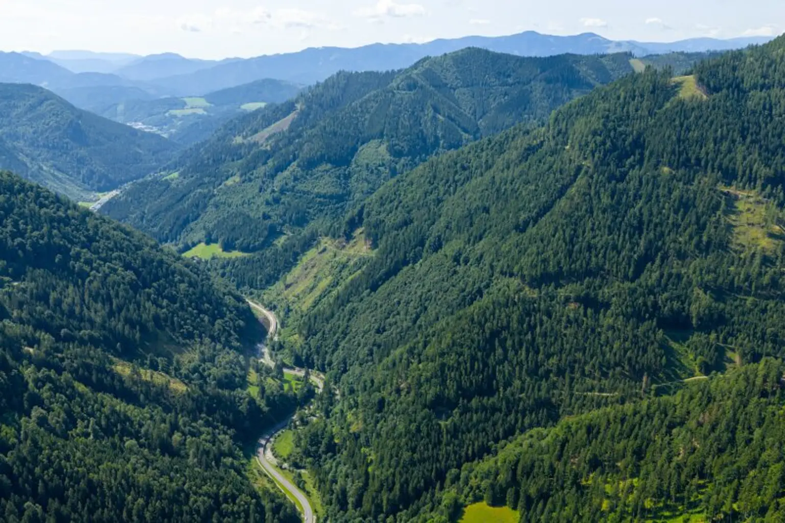 123 ha Eigenjagd mit hohem Altholzbestand
