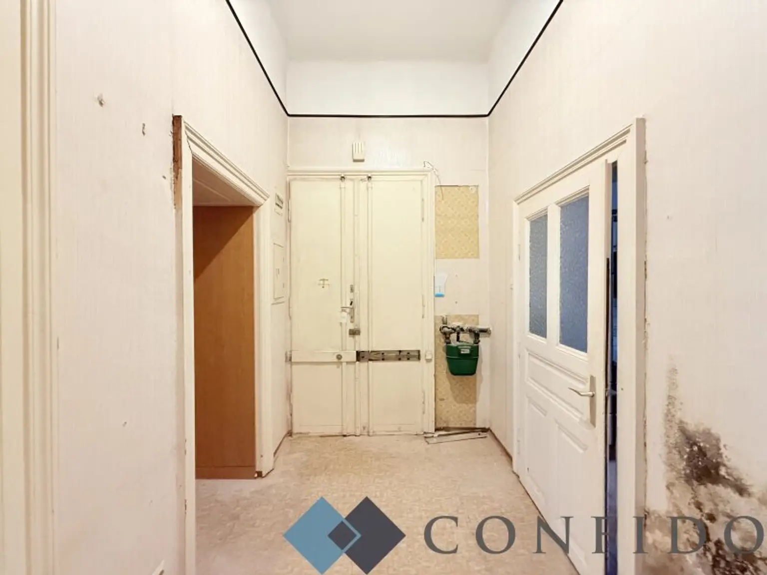 Sanierungsbedürftige 3 Zimmer Altbauwohnung mit Potenzial in der Clusiusgasse!