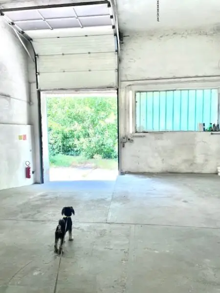 HOBBY-HALLE - ATELIER - LAGER mit Starkstrom- Anschlüsse in MOOSBRUNN !