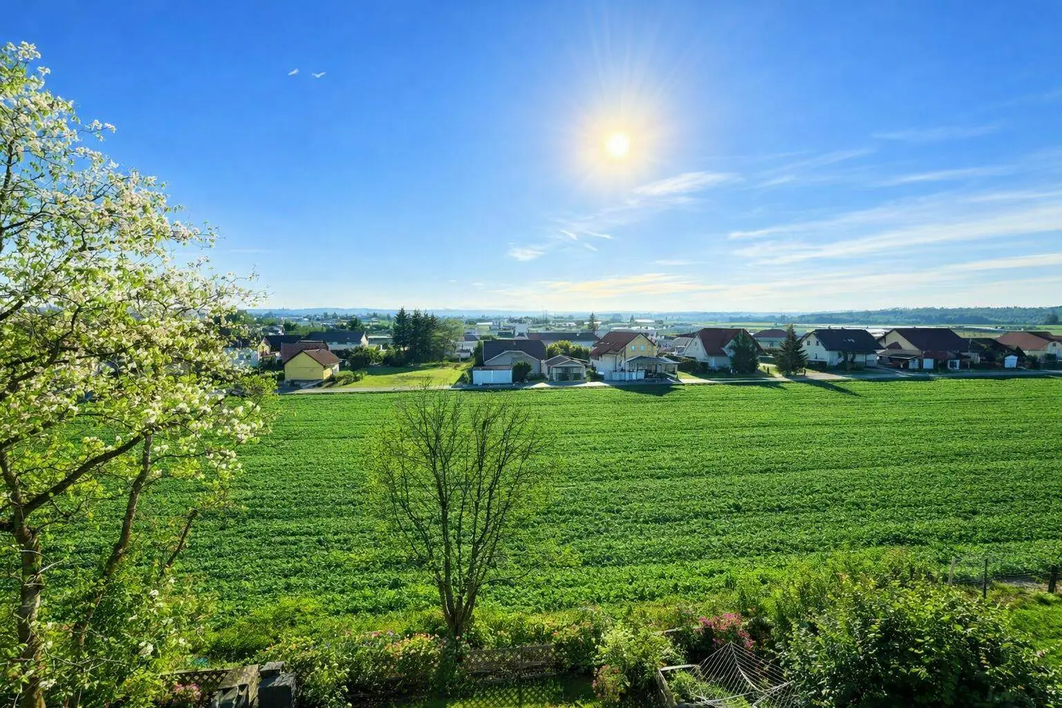 Blick 2 Balkon Frühling_Sommer