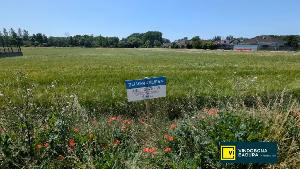 Großes, attraktives Baugrundstück in Trautmannsdorf an der Leitha – Ideal für Ihr Projekt!
