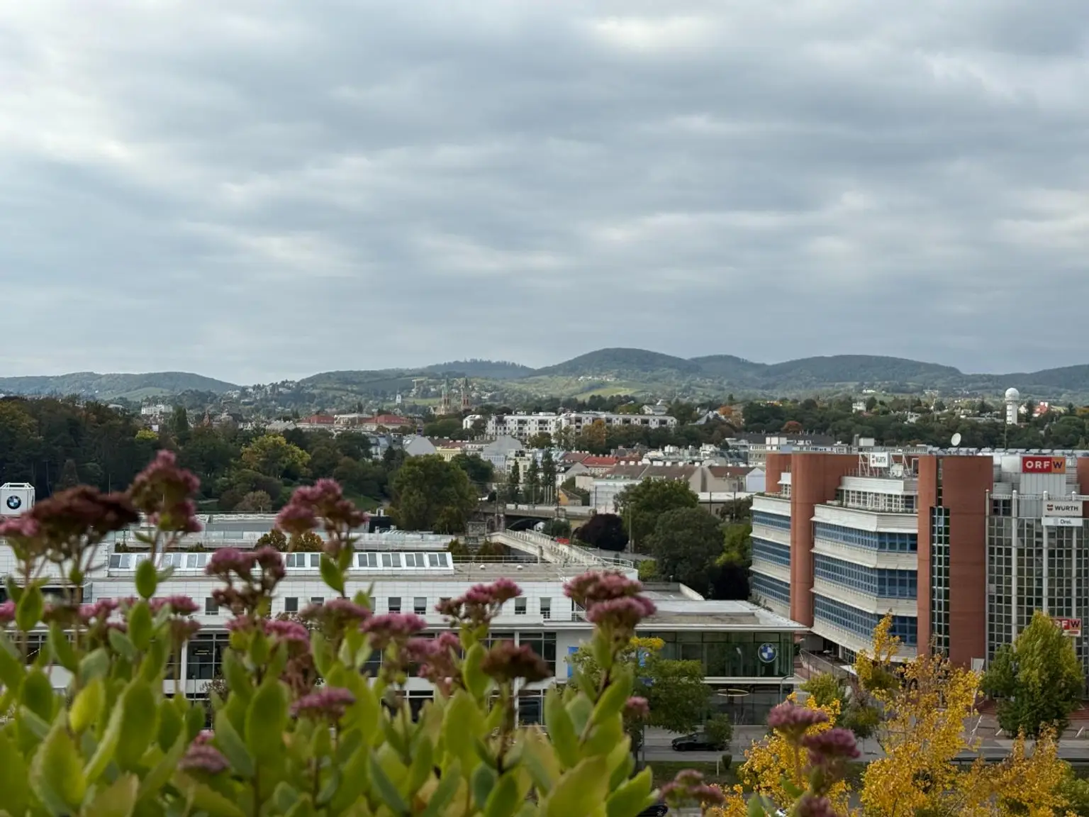 "Oase Über der Donau - Fernblick auf die Weinberge!"