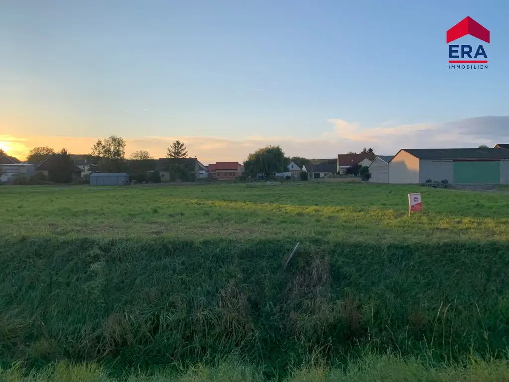 Eibesthal KAUF - Grundstück ohne Verbauungsverpflichtung nur ca. 4 km von Mistelbach!