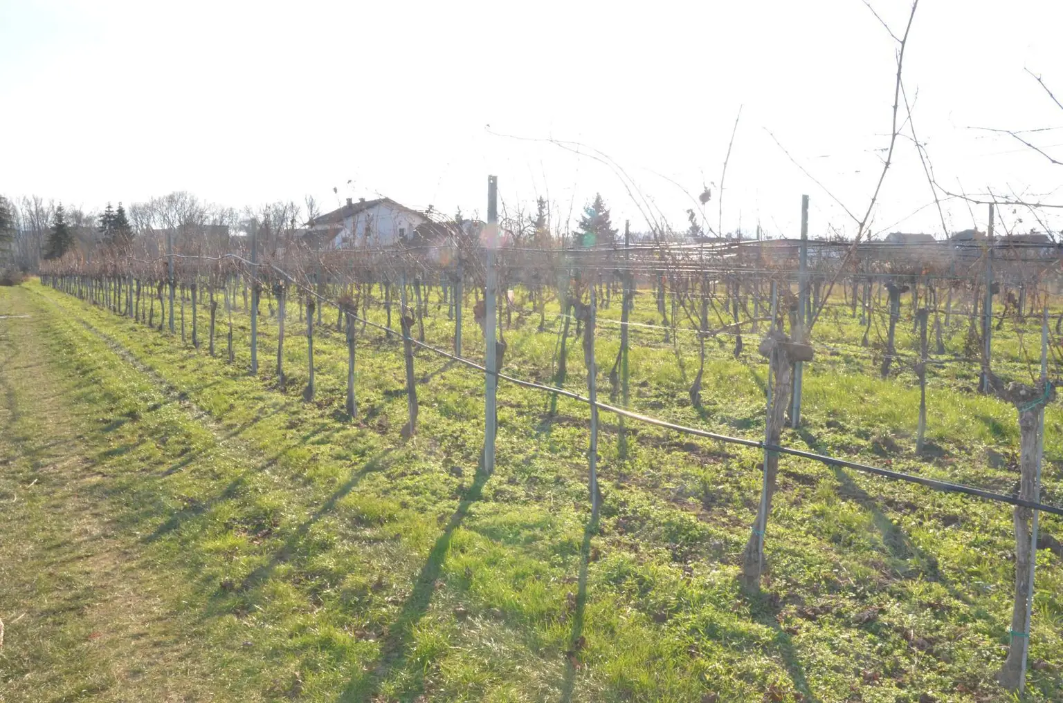 Grundstück Ansicht 4