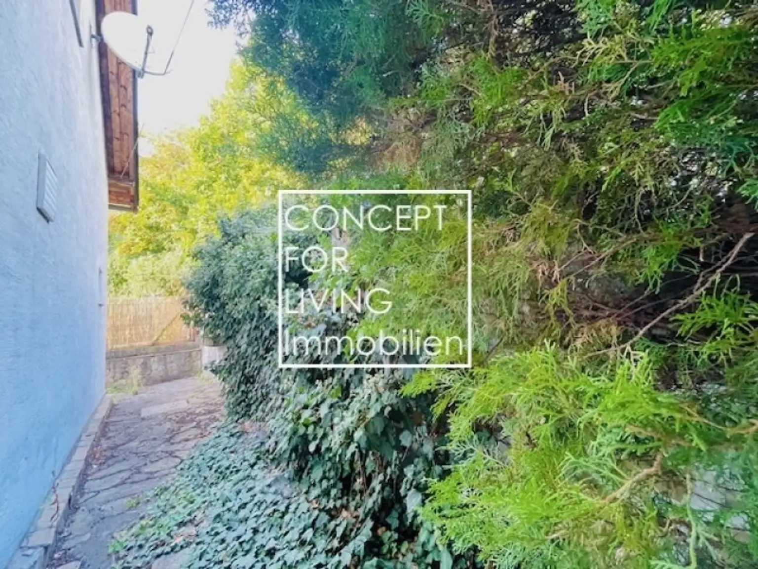 Bungalow-Living am Wolfersberg /// Familie & Home-Office: Dachboden ausbaubar !! |pure liv_ing