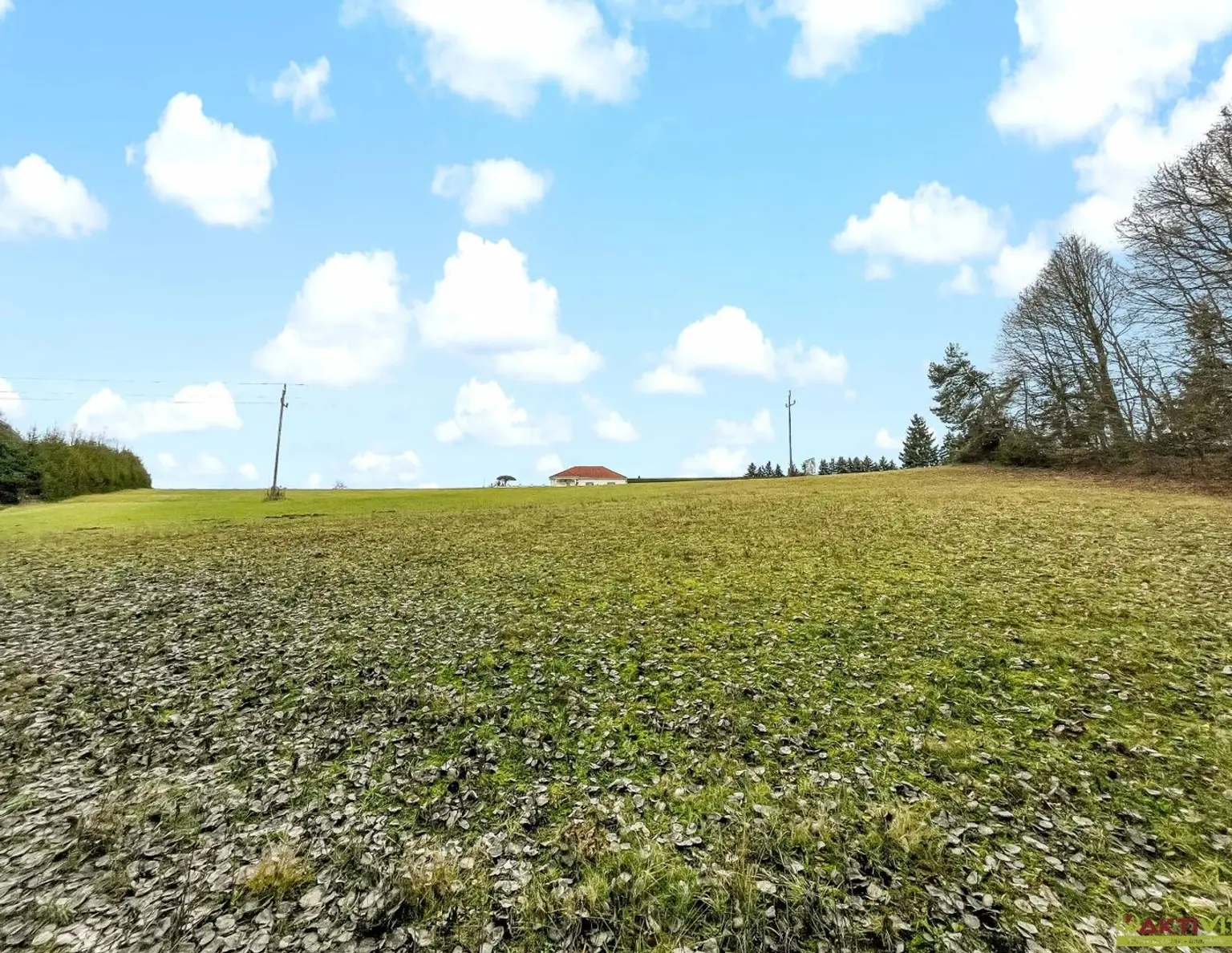 Großer Wohn-Baugrund in erhöhter Lage. - Freiland-Anteil mit Potential zur Widmung. - Vielfältige Möglichkeiten.