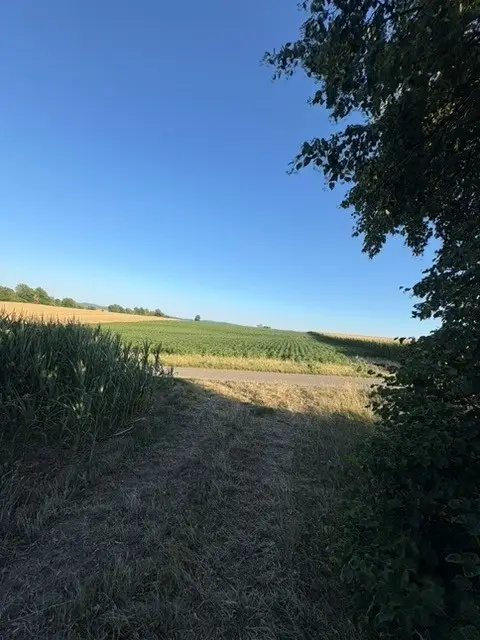 Ansicht4