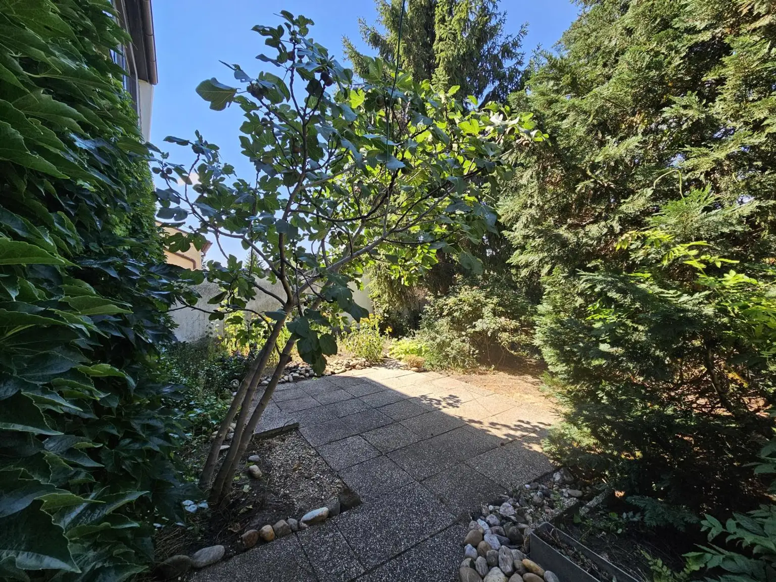 Garten (2)