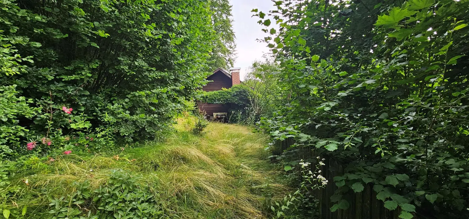 "Coming Soon" Idyllisches Wochendhaus-Hütte in Nähe Alberndorf/Gallneukirchen zu kaufen