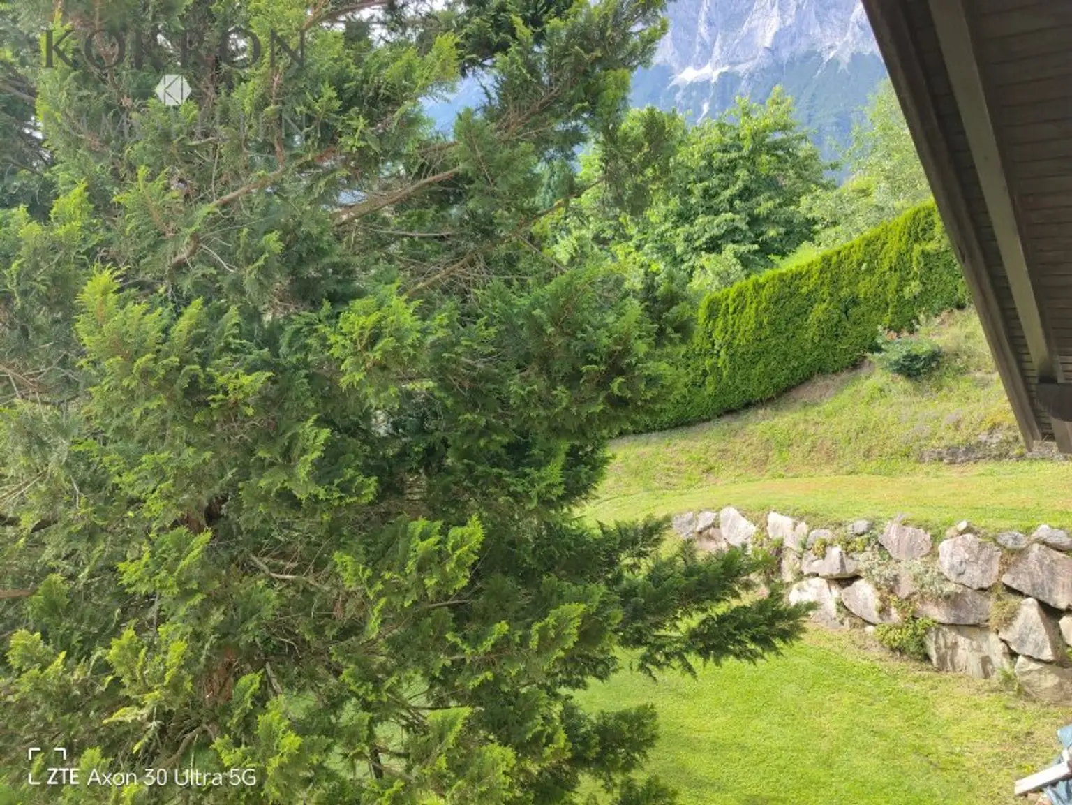 Blick in den Garten