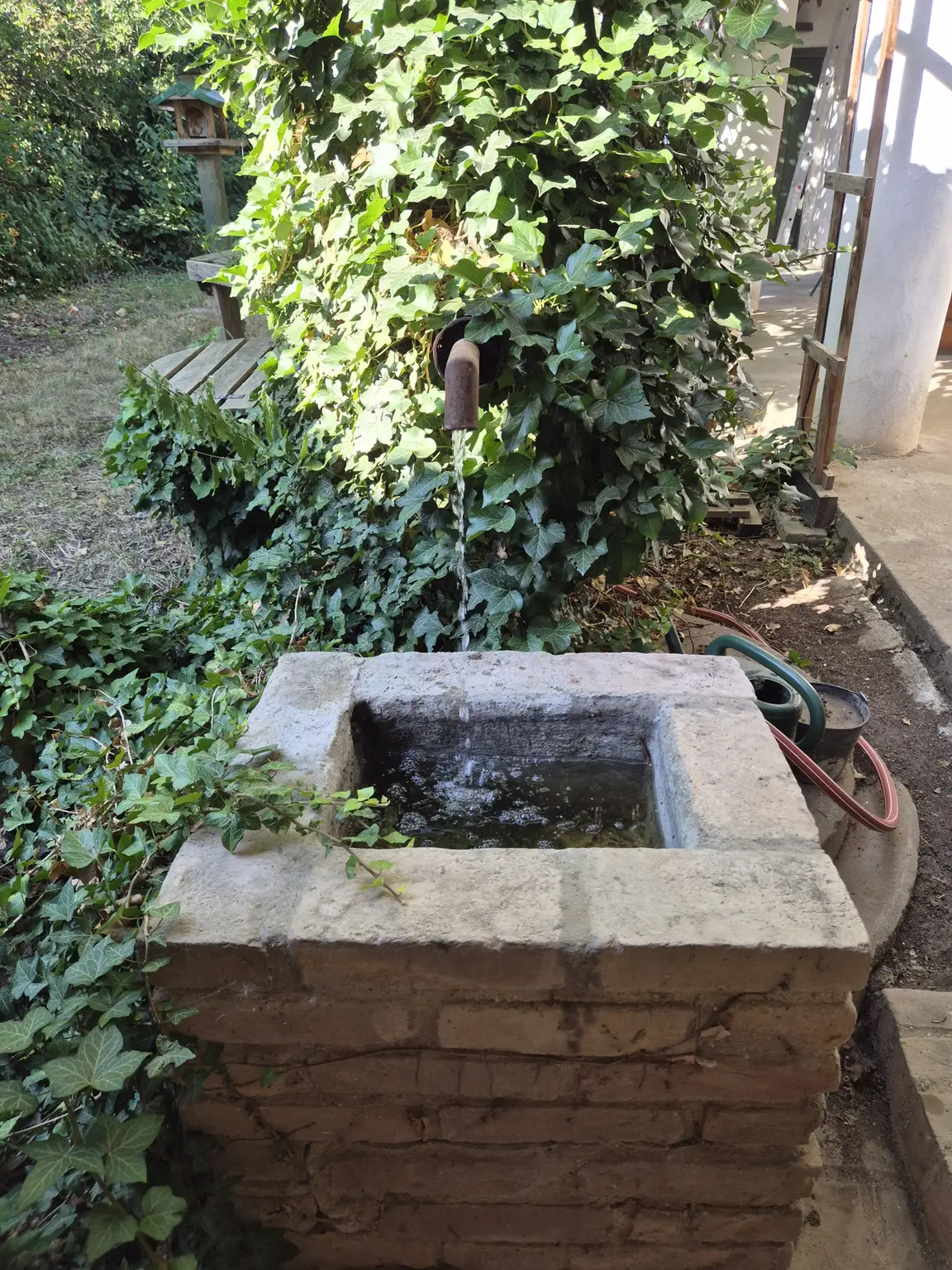 Brunnen