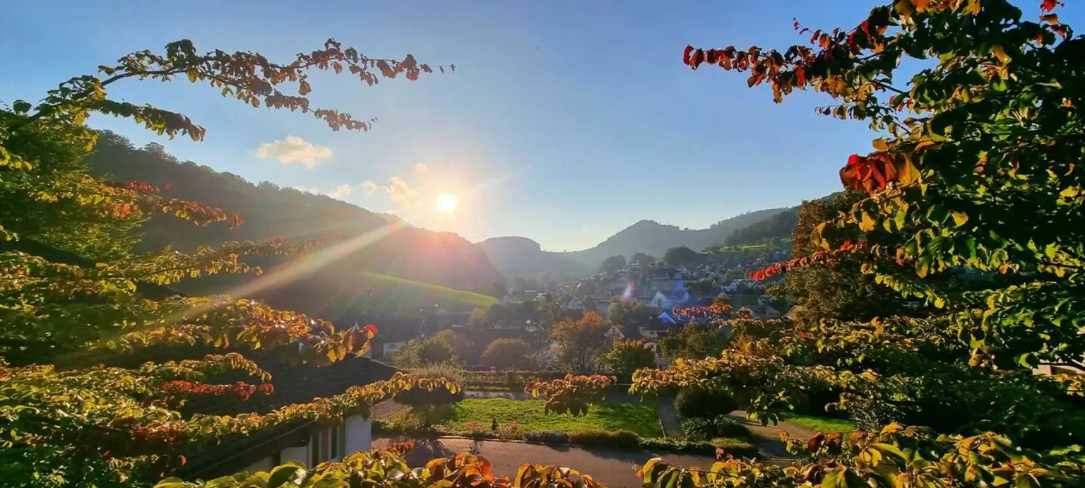Sie wollen Ihre Immobilie oder Ihr Grundstück verkaufen?