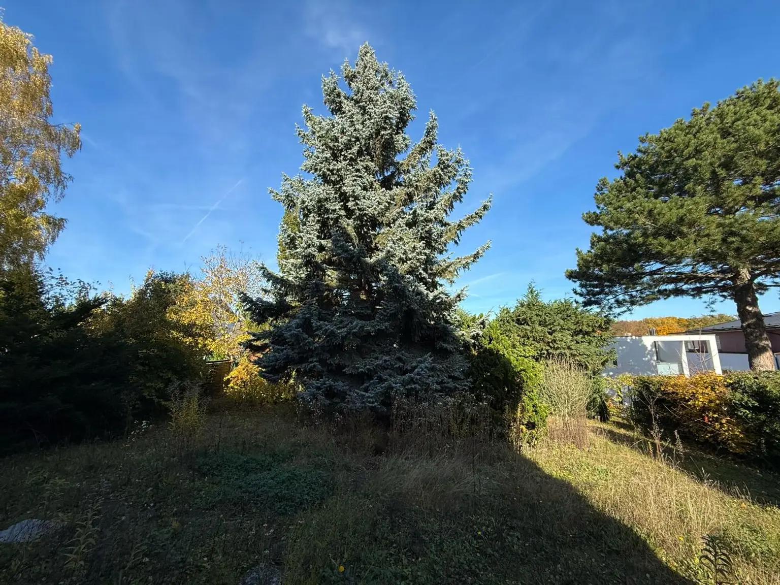 Wunderschönes Grundstück / Ausbaumöglichkeiten des Hauses / Lainzer Tiergarten