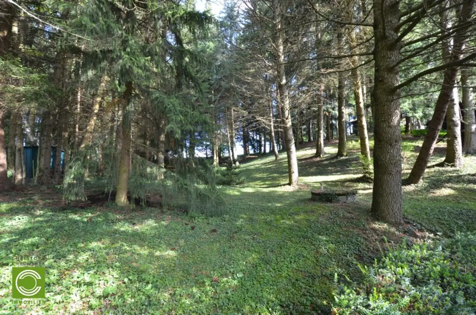CHRISTOPH CHROMECEK IMMOBILIEN - SULZ IM WIENERWALD - Traumhafter Baugrund mit Blockhaus in Grün-Ruhelage!