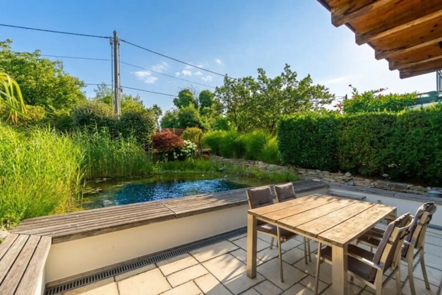 Terrasse und Schwimmbiotop