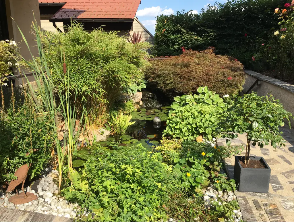 FAMILIENDOMIZIL MIT SCHWIMMTEICH