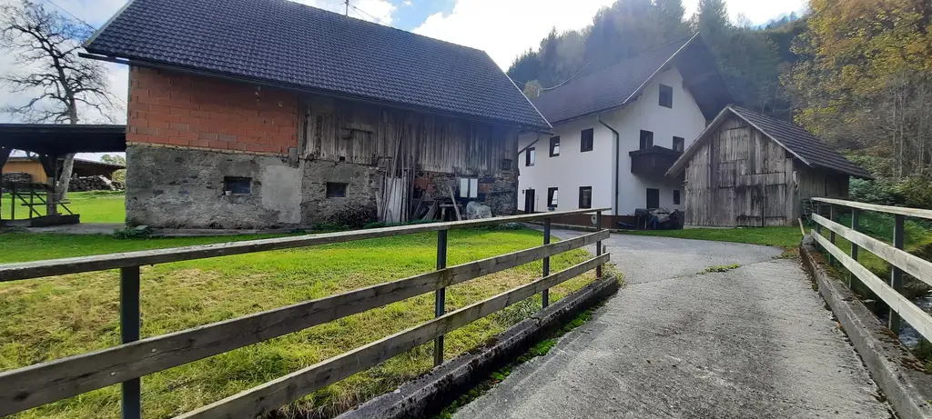 Für Naturliebhaber und Heimwerker- sanierungsbedürftiges Bauernhaus mit Nebengebäuden - zwischen Hermagor und Villach