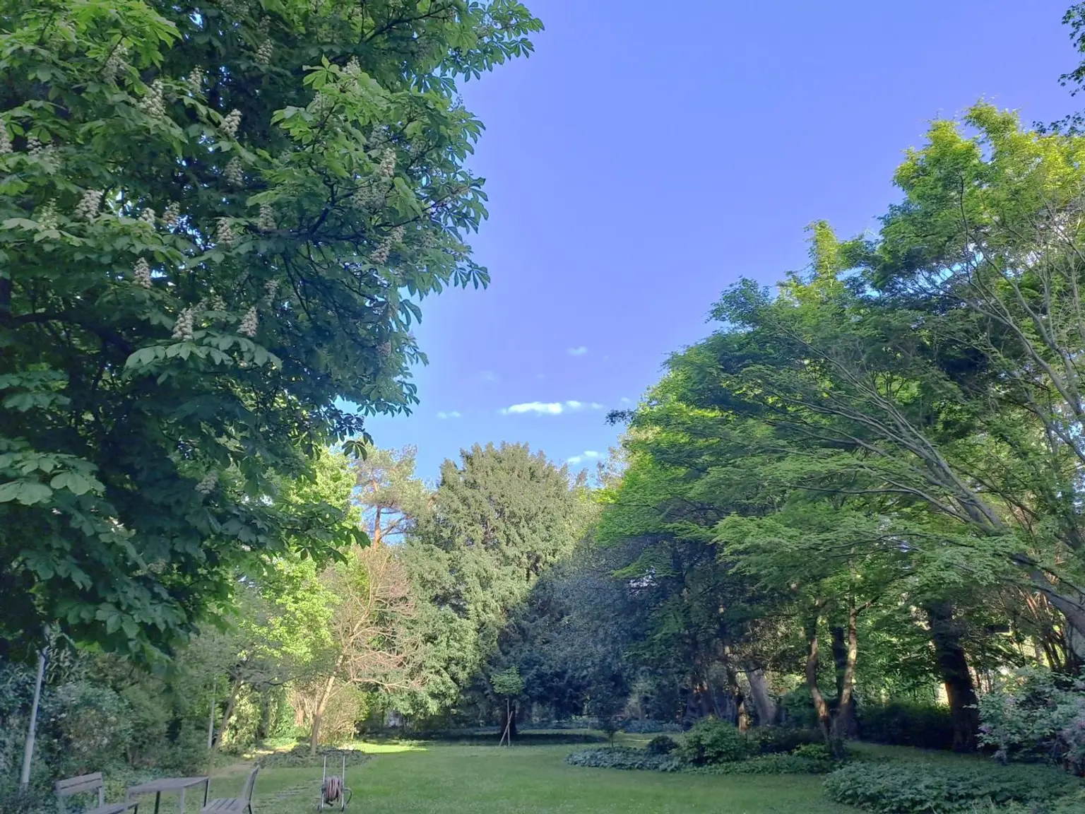 großer gepflegter Gemeinschaftsgarten