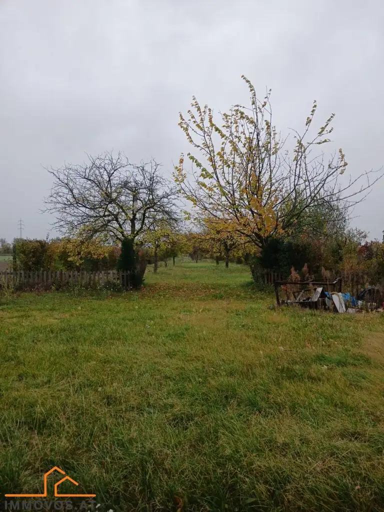 TOR  ZUM GLÜCK - RIESEN GRUNDSTÜCK MIT GEBÄUDE UND VIELEN MÖGLICHKEITEN