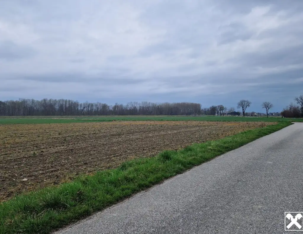 BAUEN UND WOHNEN DIREKT AN DEN DONAUAUEN MIT FREIEM, UNVERBAUTEM AUS- UND FERNBLICK DIREKT AN FELDER ANGRENZEND IN AUSGEZEICHNETER WOHNLAGE VON SEEBARN AM WAGRAM