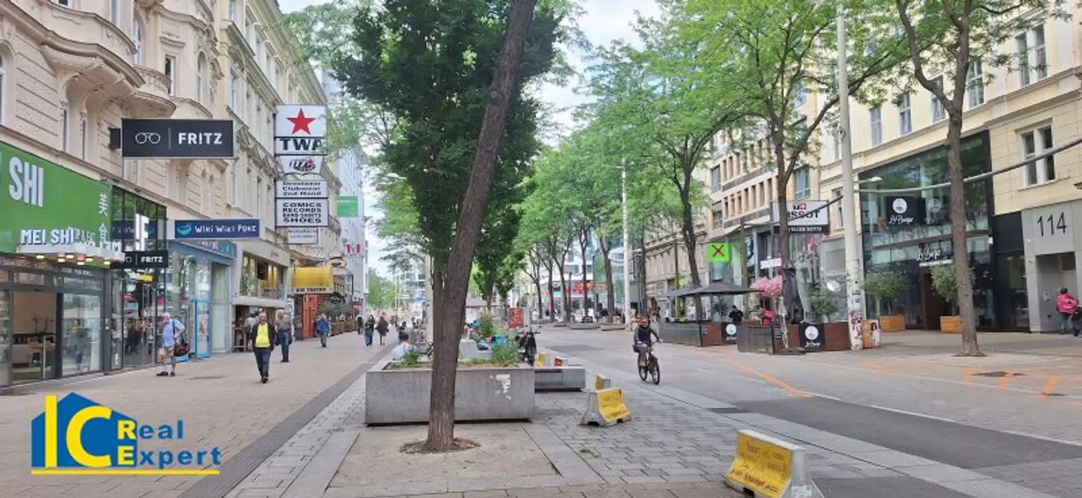 Großzügige Stadtwohnung im Biedermeierhaus, –schön, gepflegt und mit Garage!