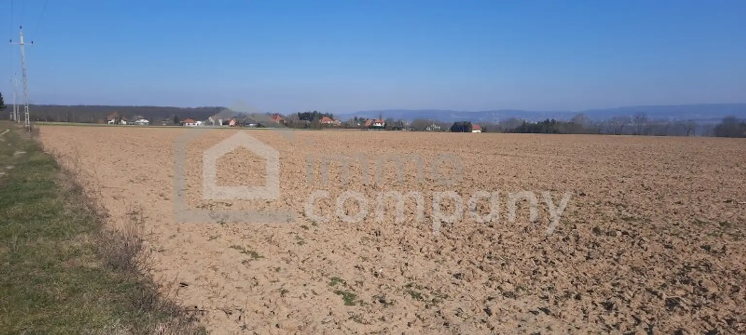 Einmalige Gelegenheit großer Grund mit Bohrrecht Thermalwasser - Unique opportunity to acquire large land near Heviz with drilling rights for thermal water.