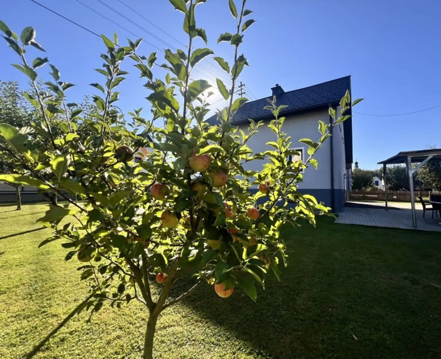 "sonnige Lage - schöner Garten" - Wohnhaus mit Charme in Bestlage