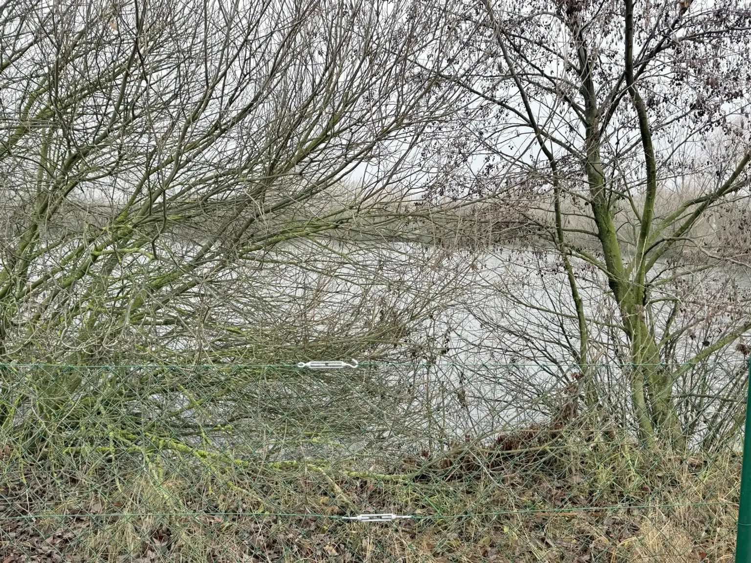 Ruhelage mit direktem Teichzugang