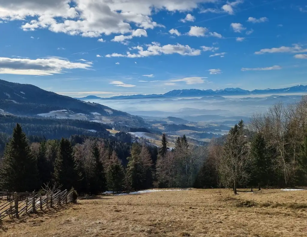 Aufgepasst: Traumhaftes Grundstück mit genehmigtem Einreichplan!