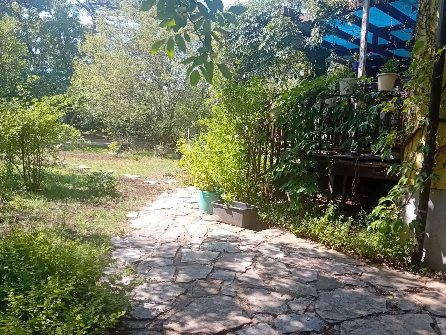 Natur pur , tolles Haus