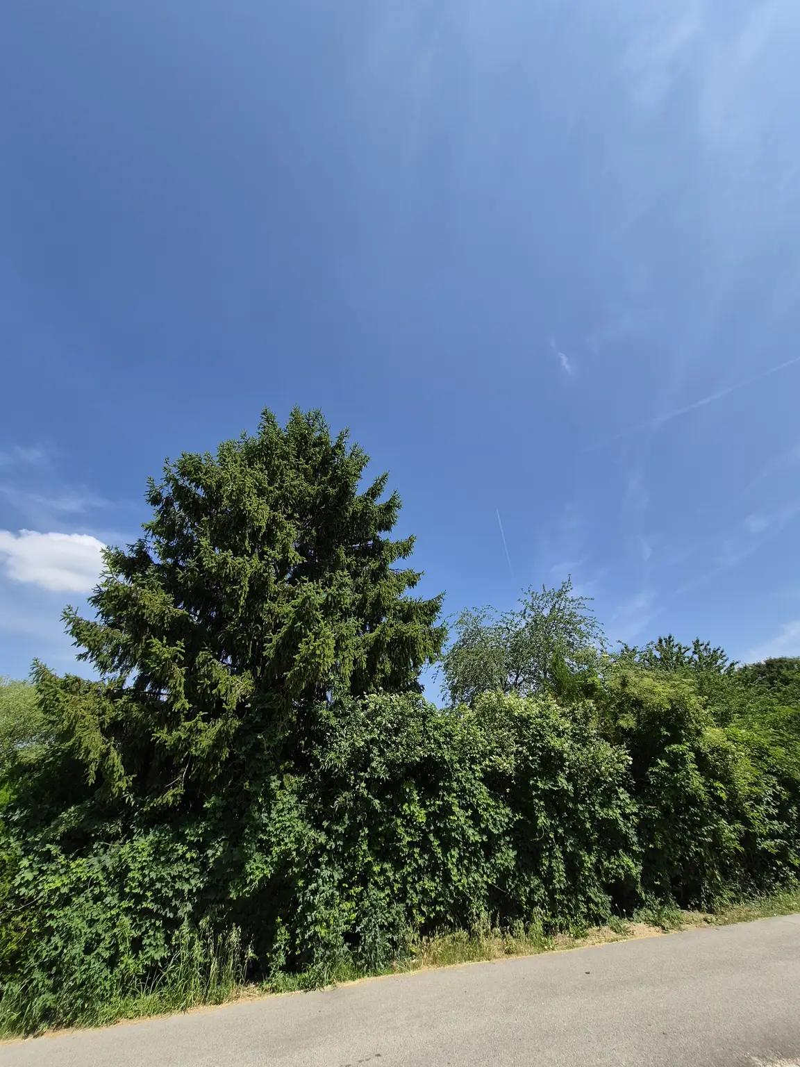 Neubau - Tolle Doppelhaushälfte belagsfertig - Neufelder See schnell erreichbar!