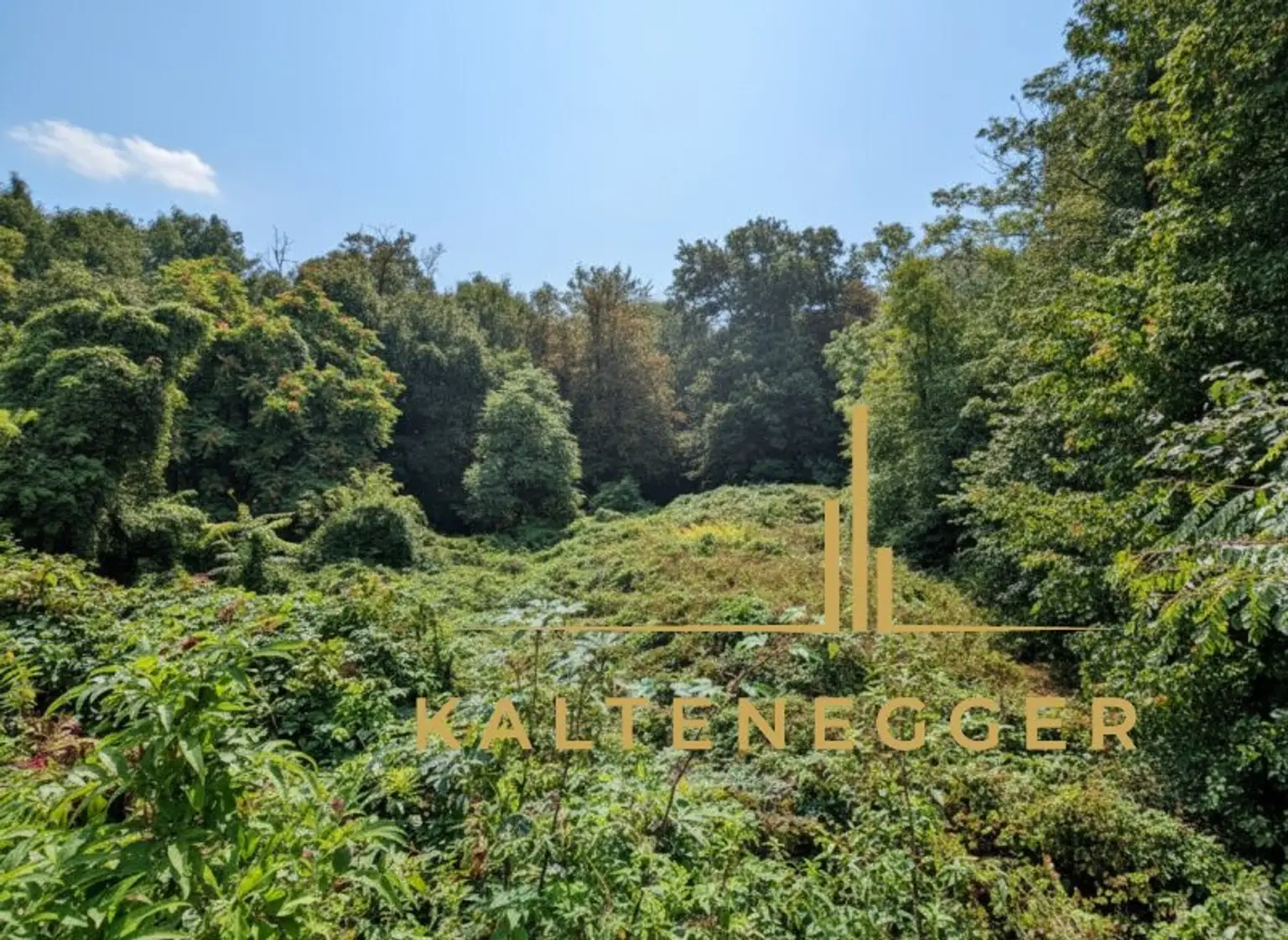 Einzigartiges Grundstück mit wunderschöner Naturverbundenheit in Pöttsching