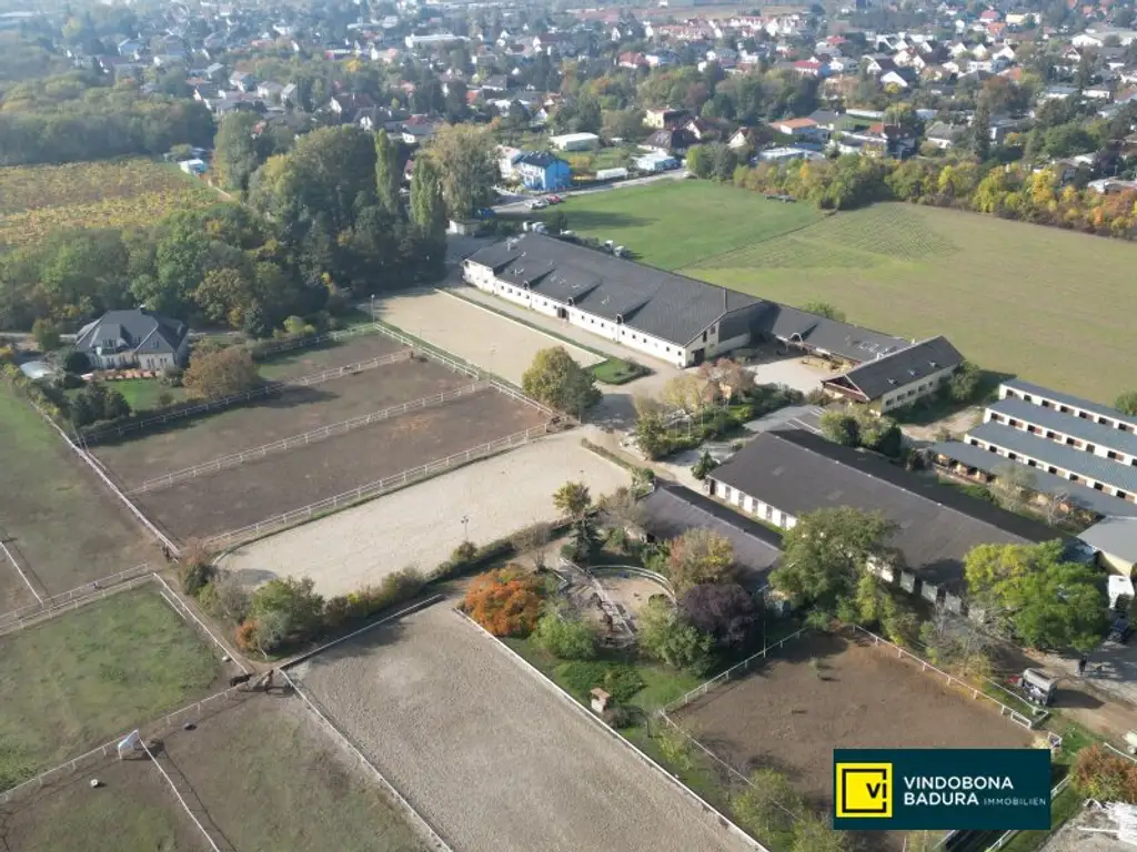 Exklusive Reitsportanlage vor den Toren Wiens – 145 Boxen | Reithallen | Reitplätze | Koppeln | Villa & Personalwohnungen