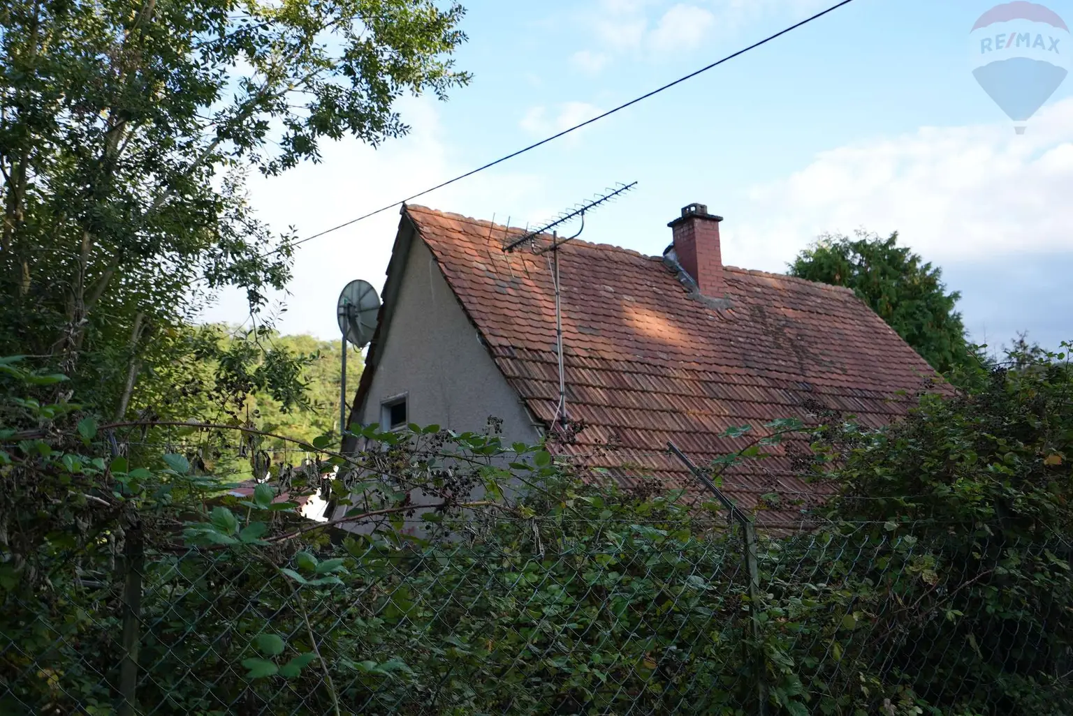 DSC06010