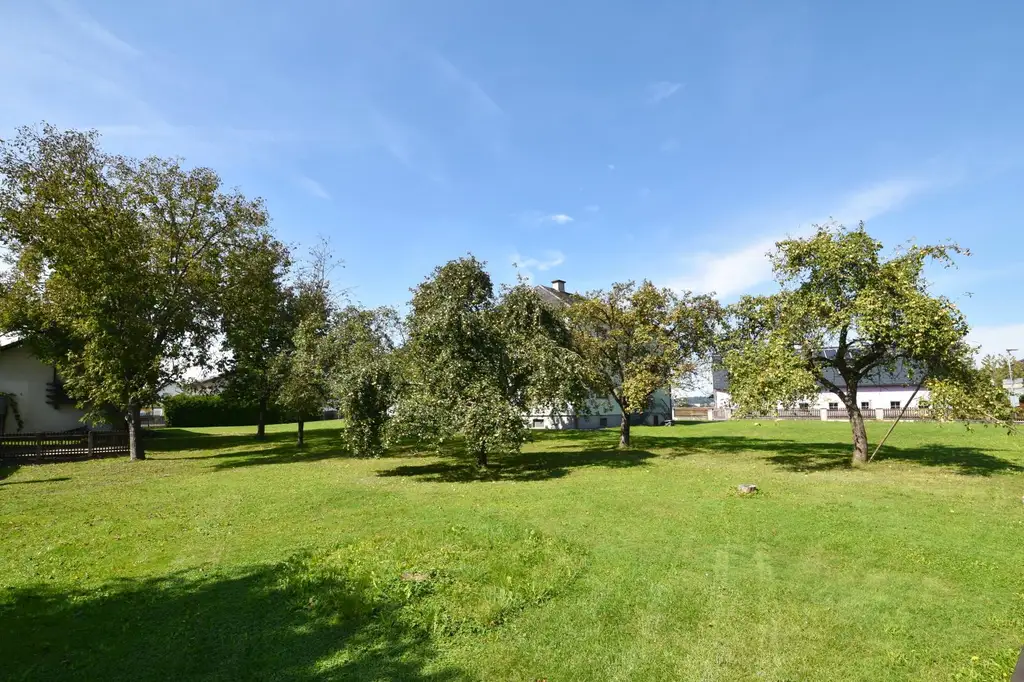 Mehrfamilienhaus mit viel Potenzial und Bauland-Agrar Widmung!