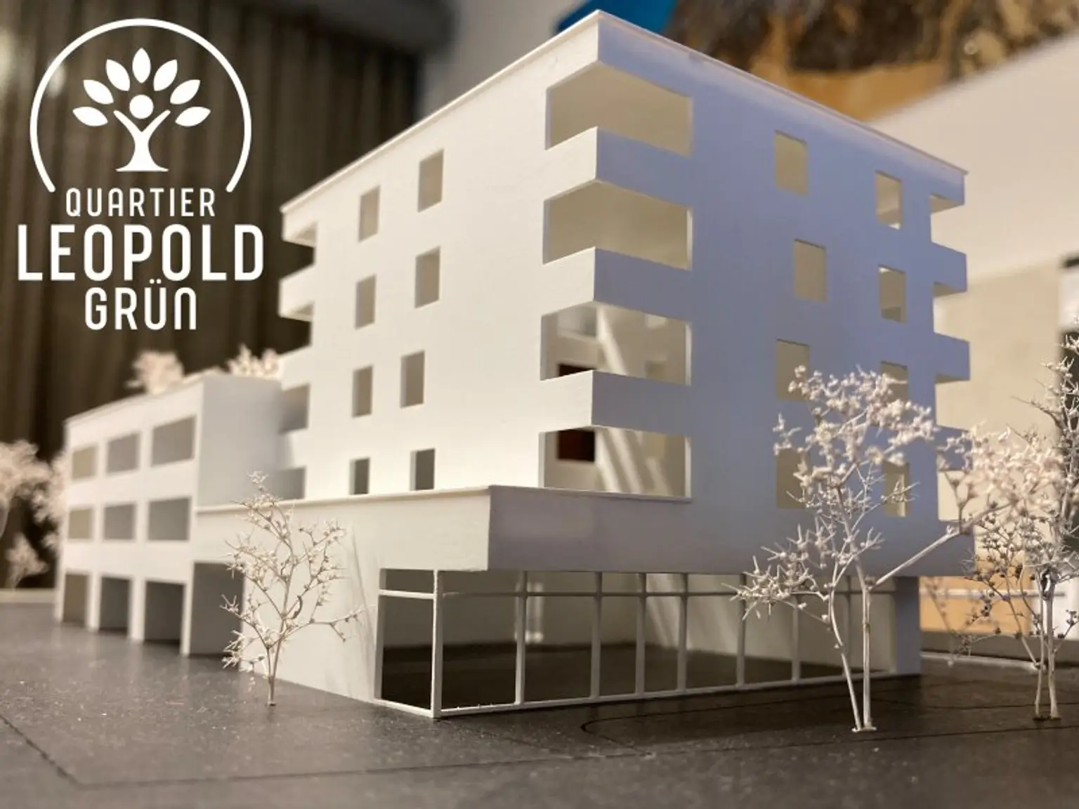 Durchstarten im neuen Standort in der Schützenstraße: