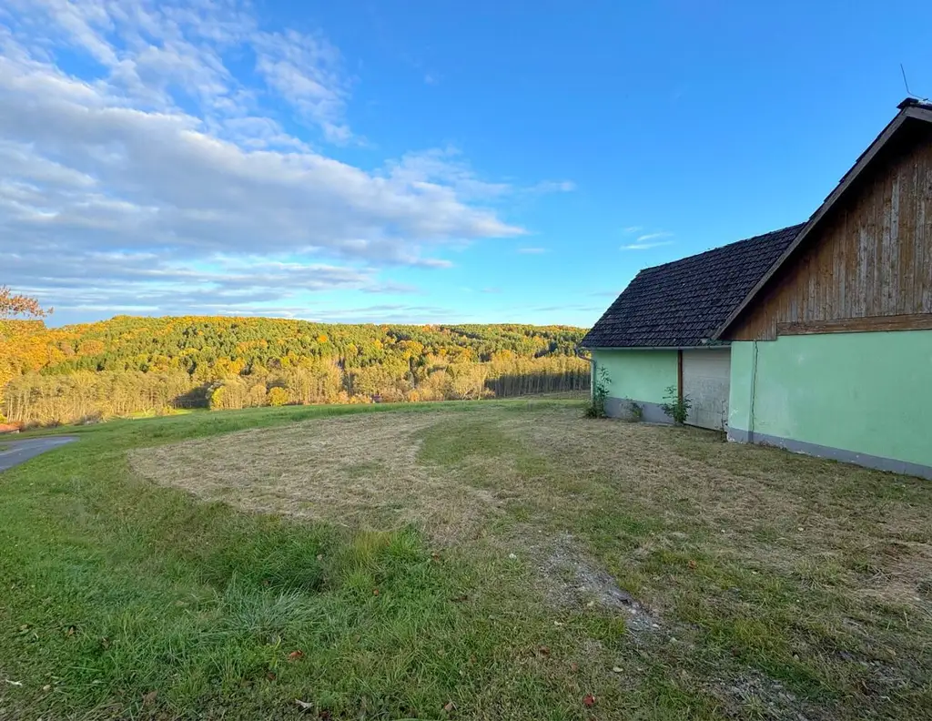 Sonniger Baugrund in STEGERSBACH mit genug Grünland und Wald