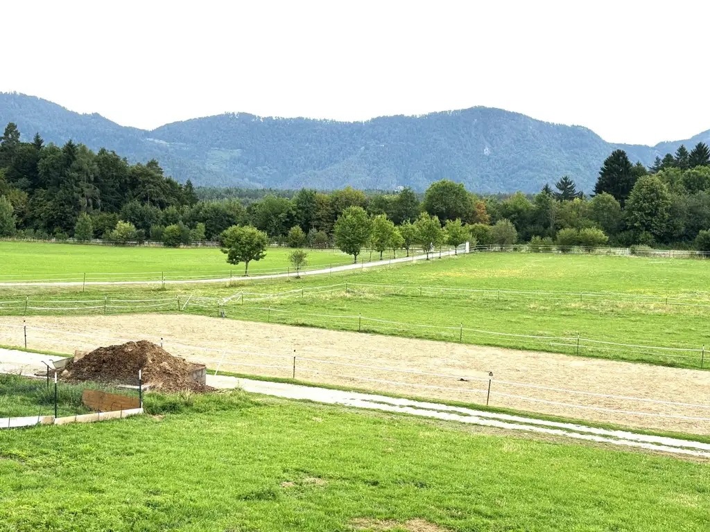 KLEINLANDWIRTSCHAFTLICHES JUWEL! CA.10 HEKTAR WALD! WIESEN! BETRIEBSFLÄCHEN!