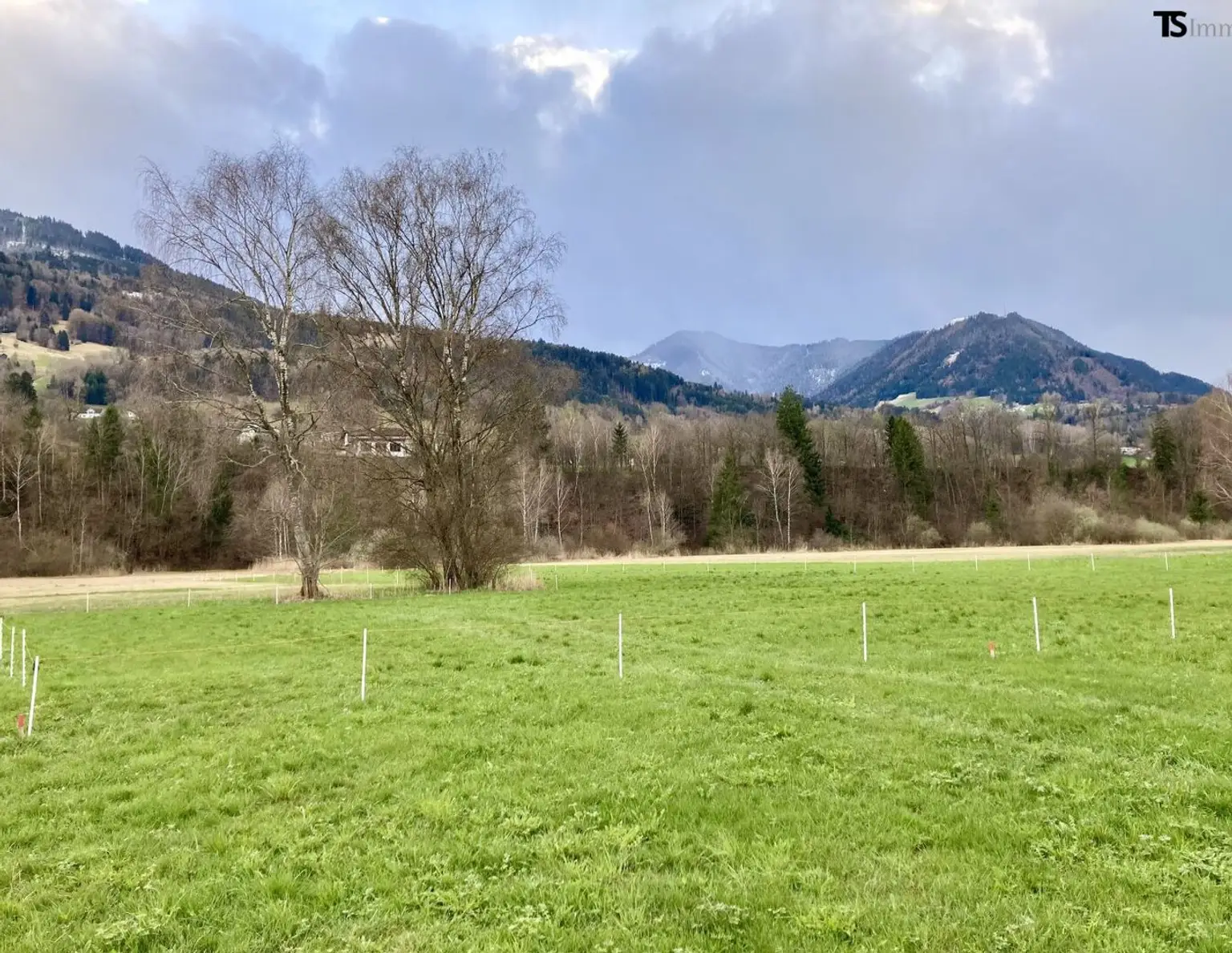 Nenzing Heimat: 600 m2 Sonnentraum mit Weitblick - Ihr Baugrundstück in Nenzing mit unverbaubarer Aussicht