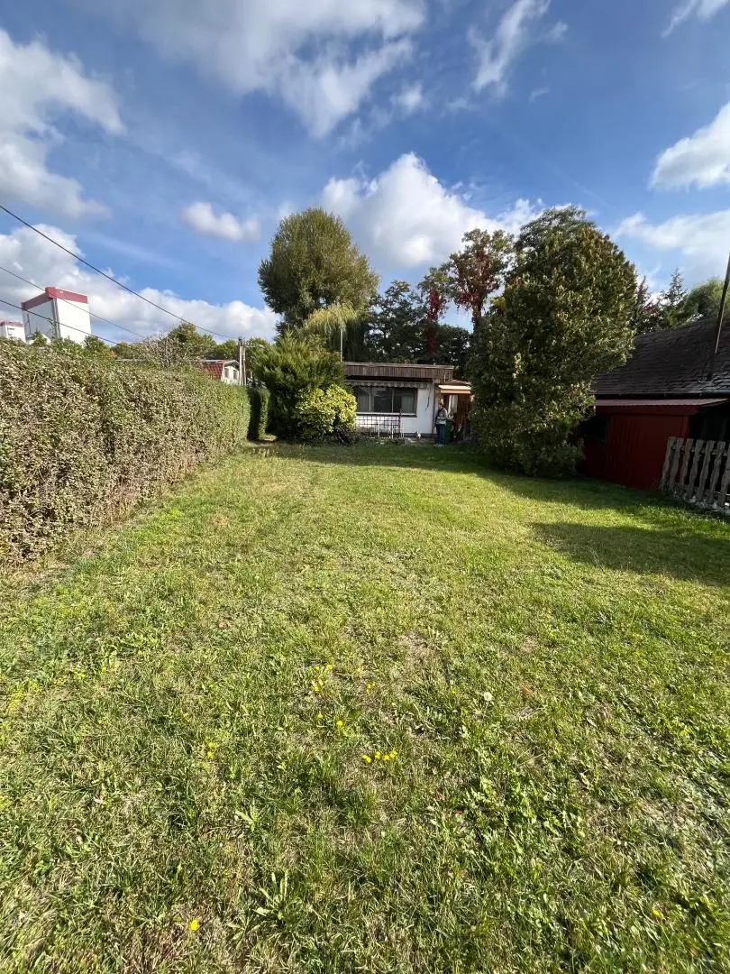 Alte Donau: Kleingartengrundstück mit Altbestand und Entwicklungspotenzial