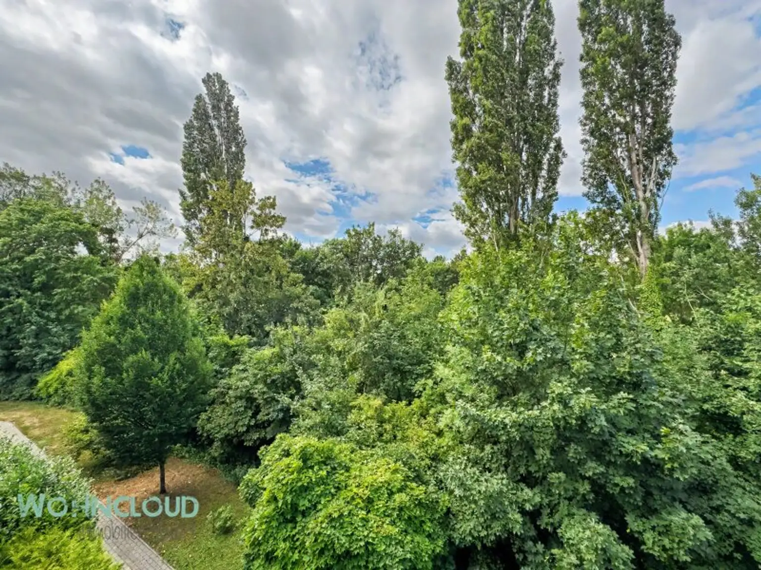 AUSBLICK